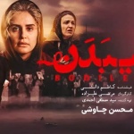 بنر فیلم بی بدن