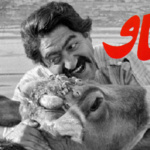 بنر فیلم گاو